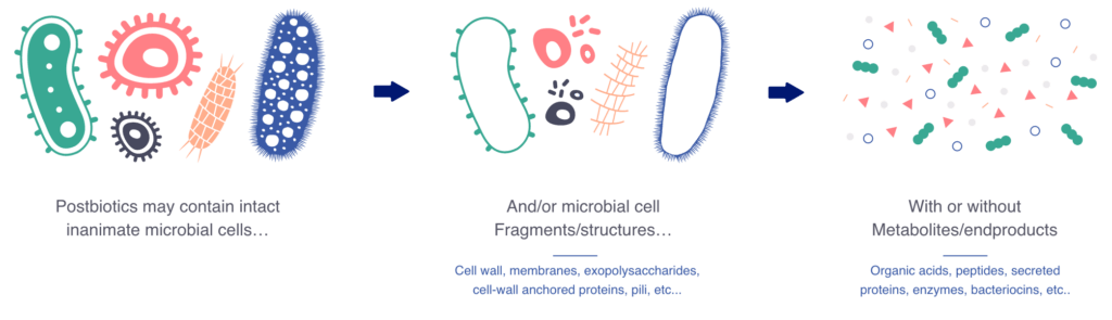 Components of a postbiotics