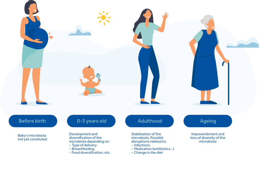 microbiota life