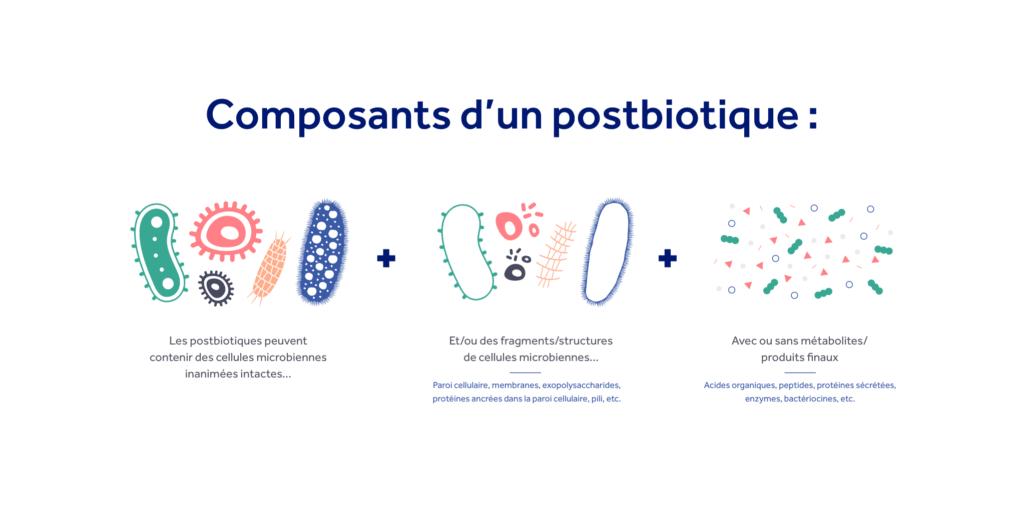composants d'un postbiotique